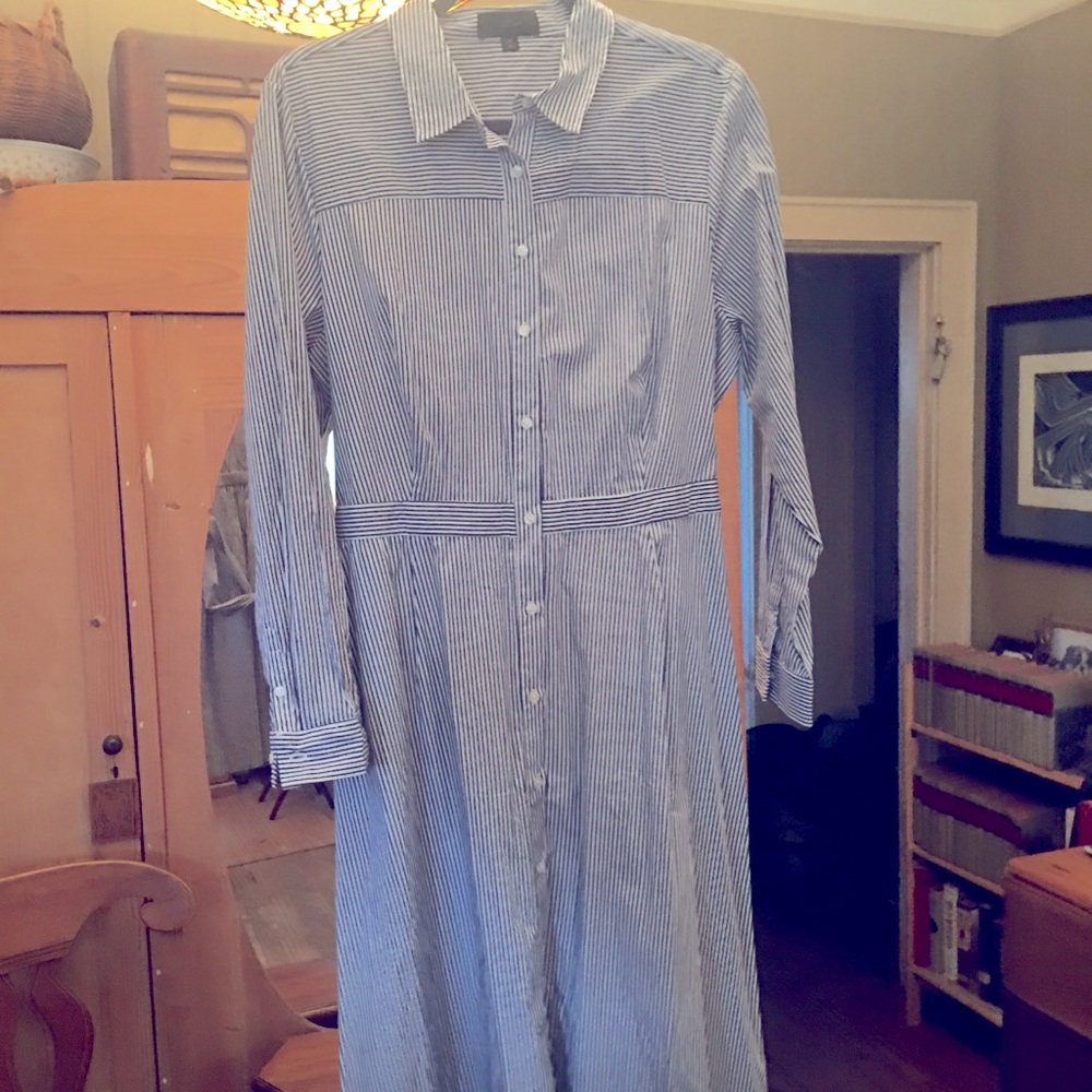 J Crew Cotton Shirtwaist dress